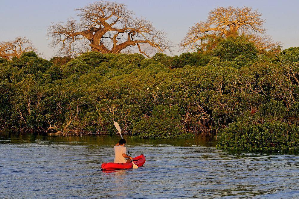 Kinasi Lodge Utende Extérieur photo